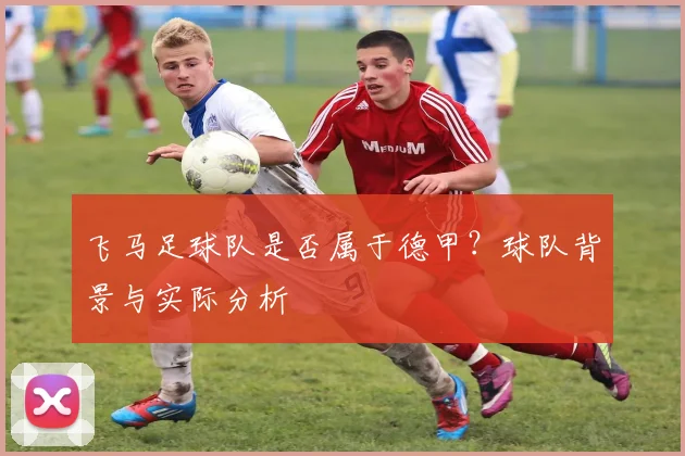 飞马足球队是否属于德甲？球队背景与实际分析
