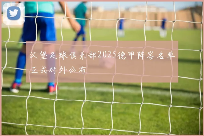 汉堡足球俱乐部2025德甲阵容名单正式对外公布