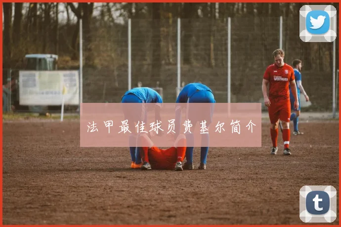 法甲最佳球员费基尔简介