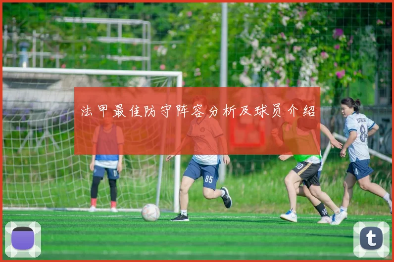 法甲最佳防守阵容分析及球员介绍