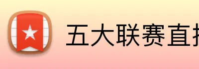 五大联赛直播 logo
